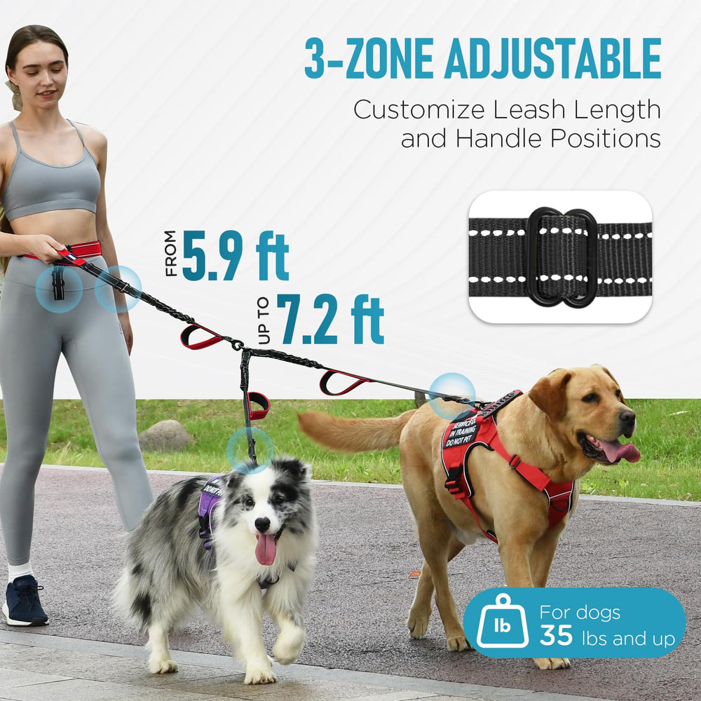 PawistaPal waist belt close-up with breathable lining for a cooler, stable fit.