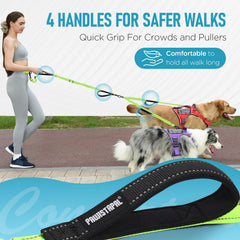 PawistaPal waist pad breathable lining keeps you cool and comfortable on walks.