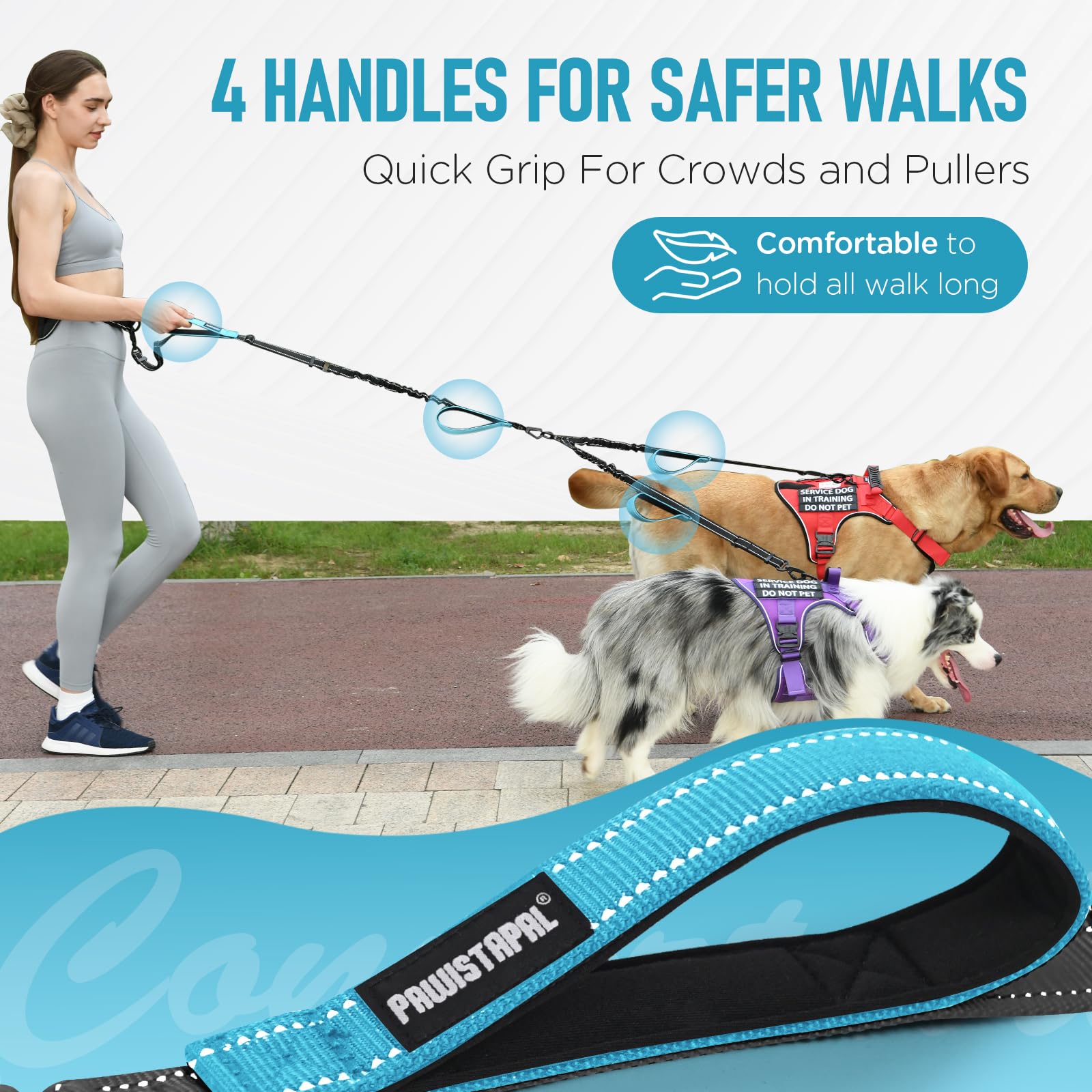 PawistaPal Waist Belt breathable pad close-up highlighting comfort during long walks.