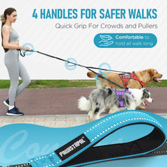 PawistaPal Waist Belt breathable pad close-up highlighting comfort during long walks.