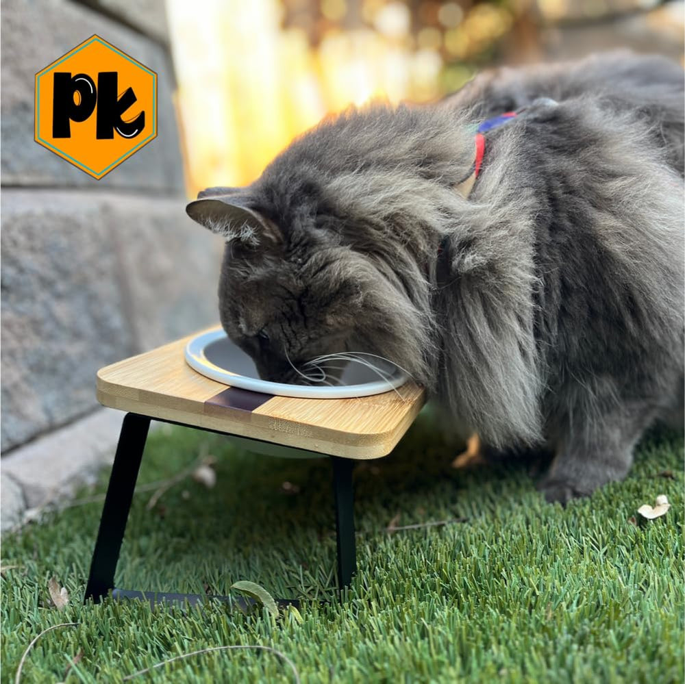Pawkizz replacement ceramic bowls lead-free material supports safe feeding.