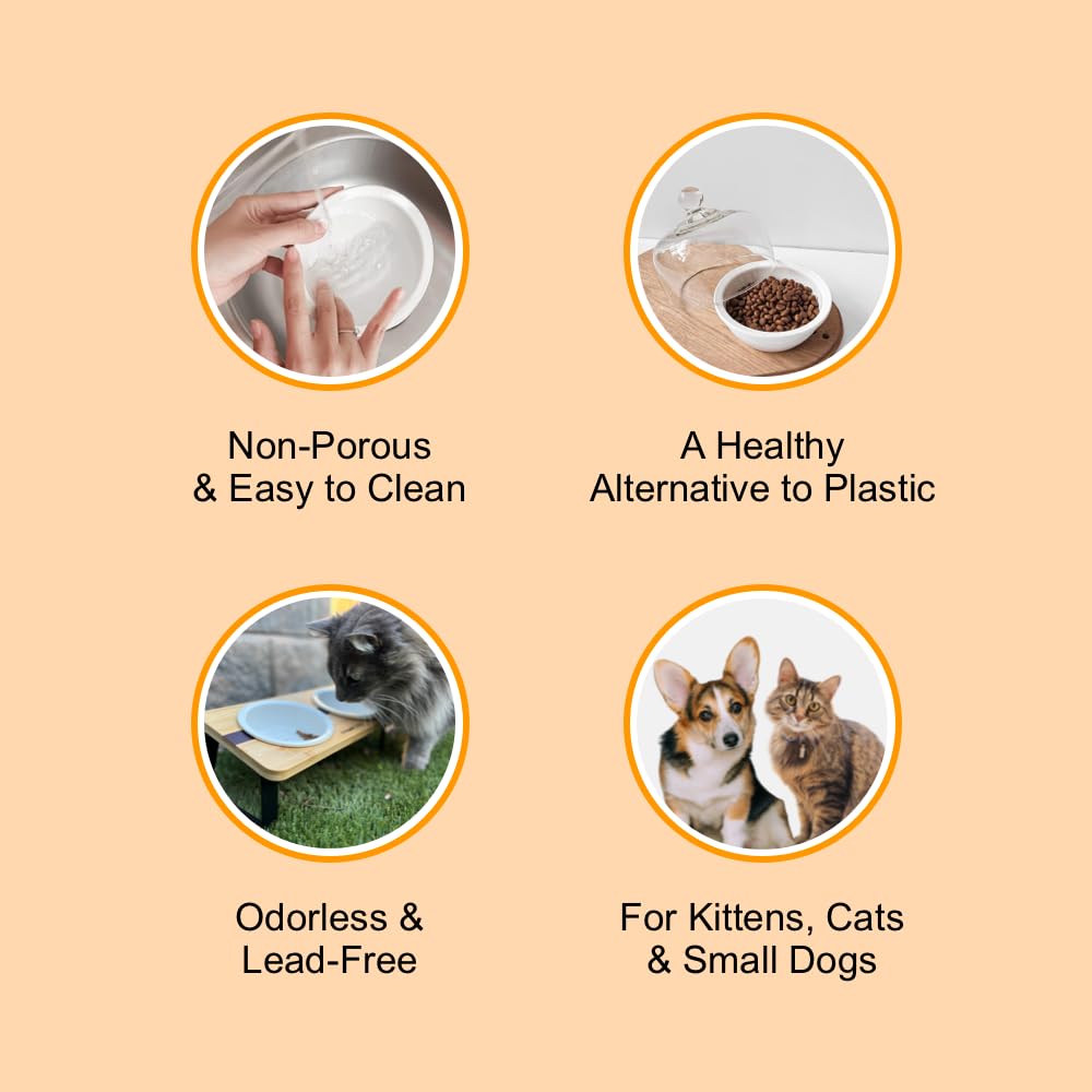 Pawkizz replacement ceramic bowls dishwasher-safe, quick sanitation.