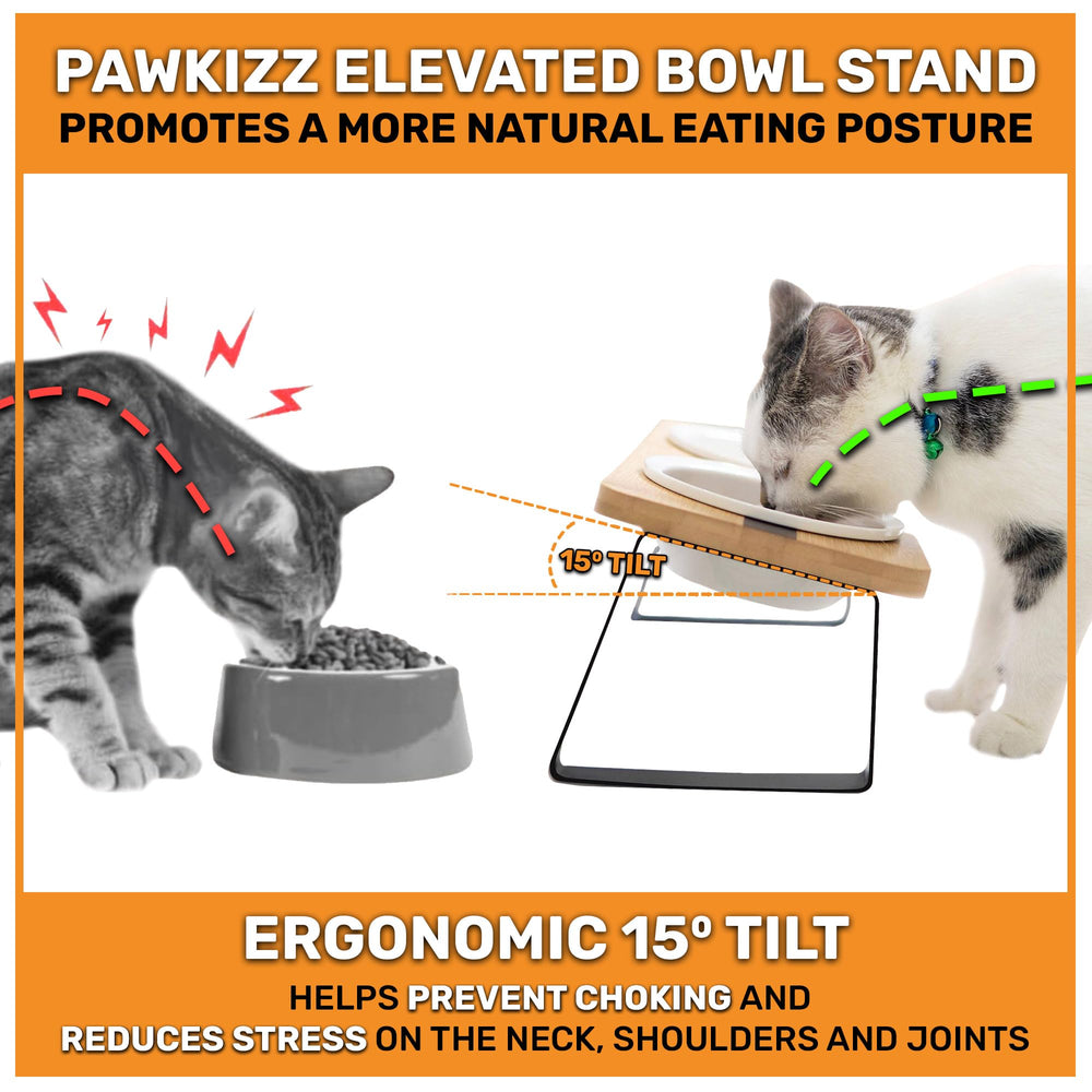 Pawkizz tilted-feeding-stand shows 15-degree tilt to support posture during meals.