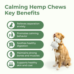 Organic hemp-seed-oil feature on PawLabs calming chews packaging.