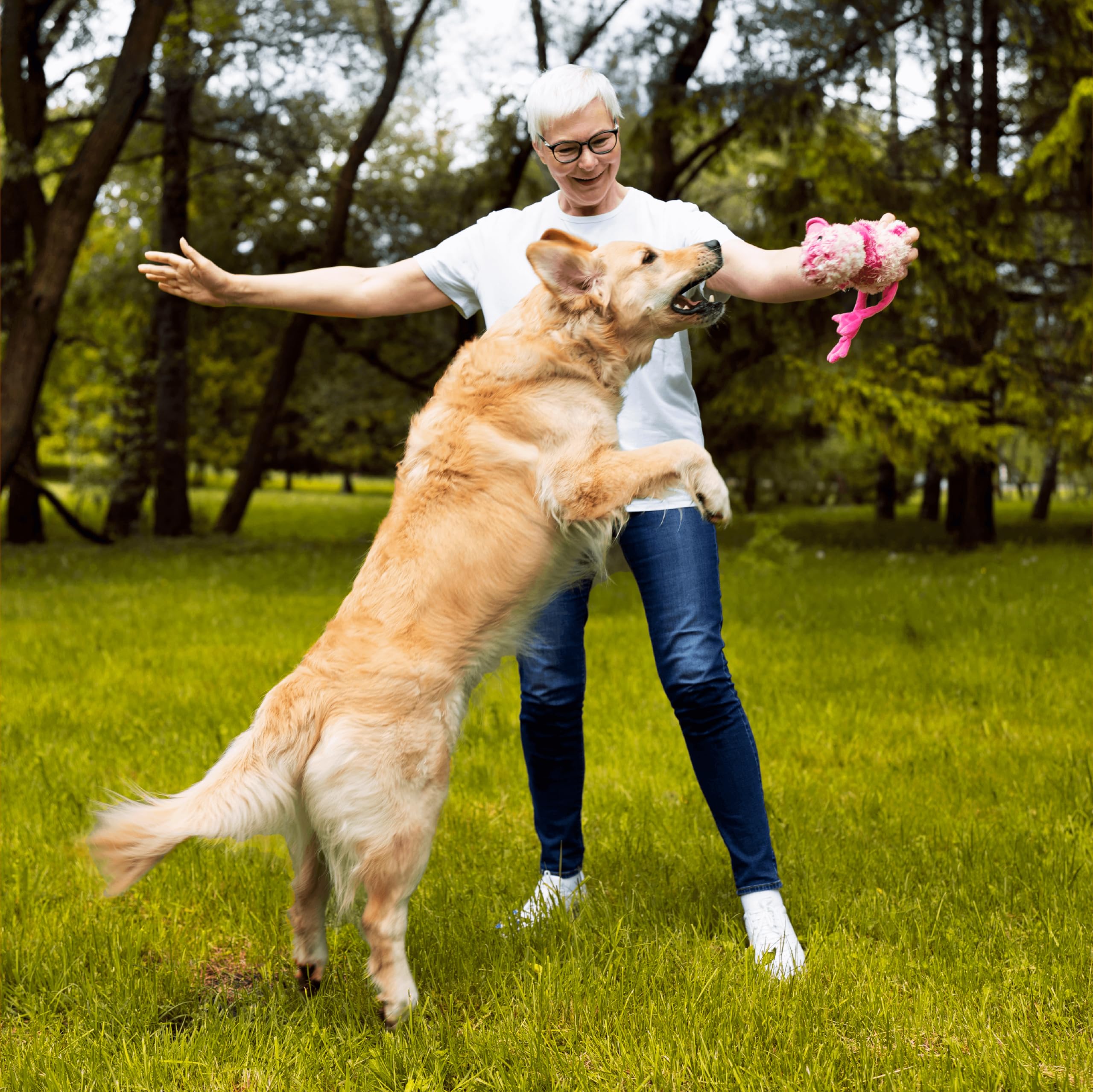 Hand holding Pawlabs G-Max chews, showing easy daily dosing as a treat.