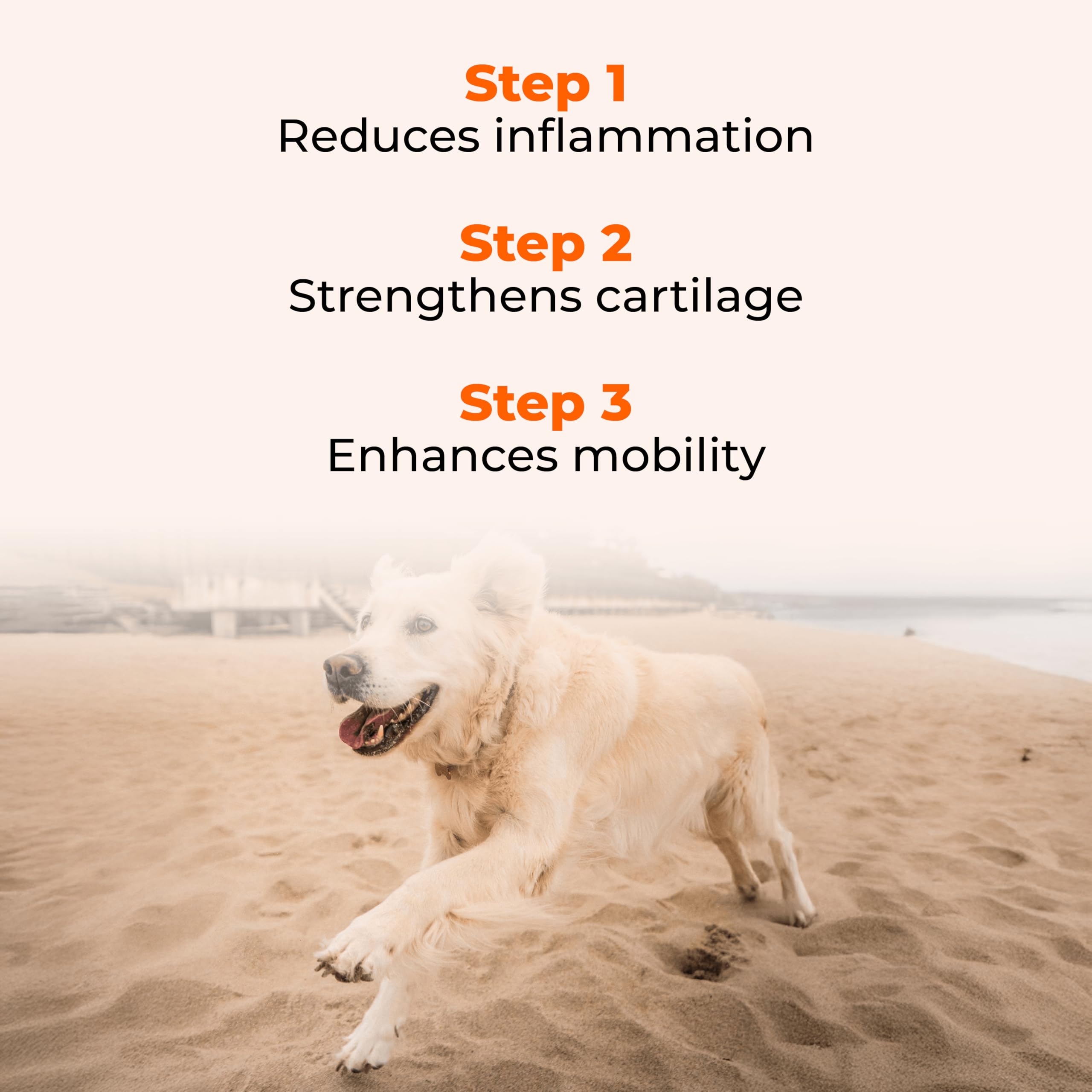 Ingredient panel on Pawlabs G-Max packaging featuring glucosamine, chondroitin, and MSM.