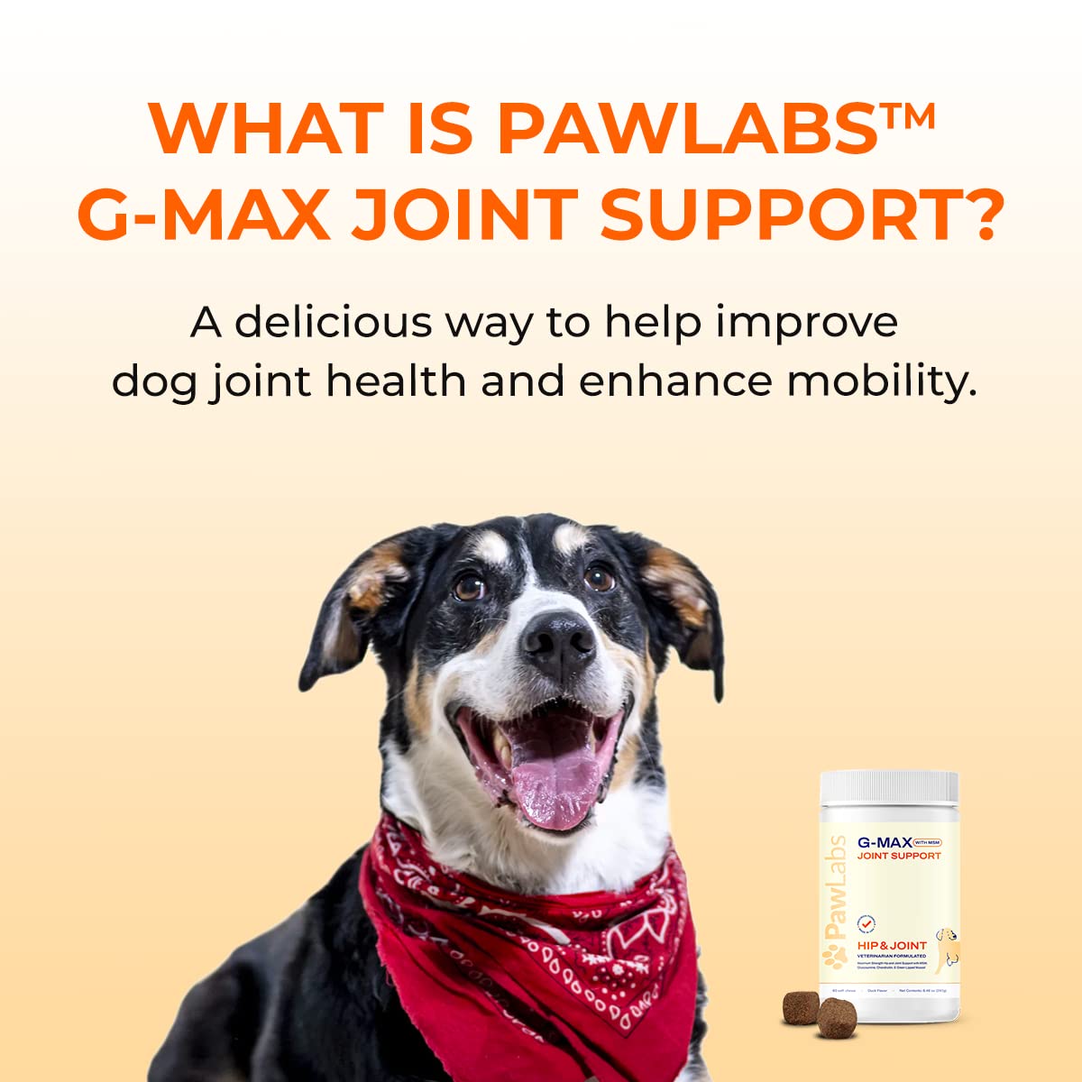 Pawlabs G-Max hip health focus for hip dysplasia scenarios