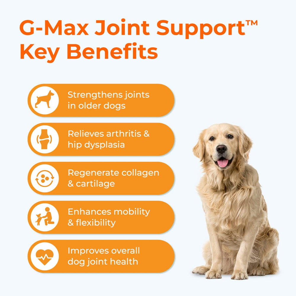 Pawlabs G-Max product manufactured in USA facility emphasizing safety standards