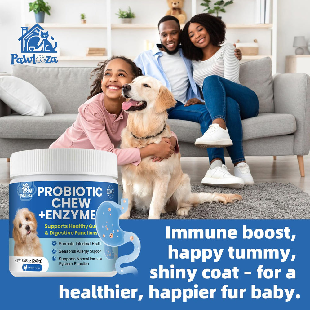 Pawlooza dog allergy chews in use as a treat suggesting daily comfort.