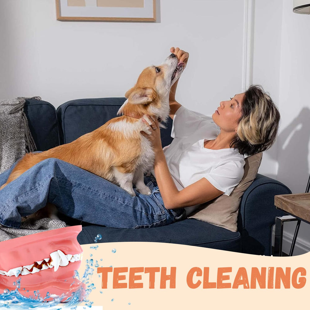 Pawmate large dog snack appeal highlights a lean, high protein treat option.