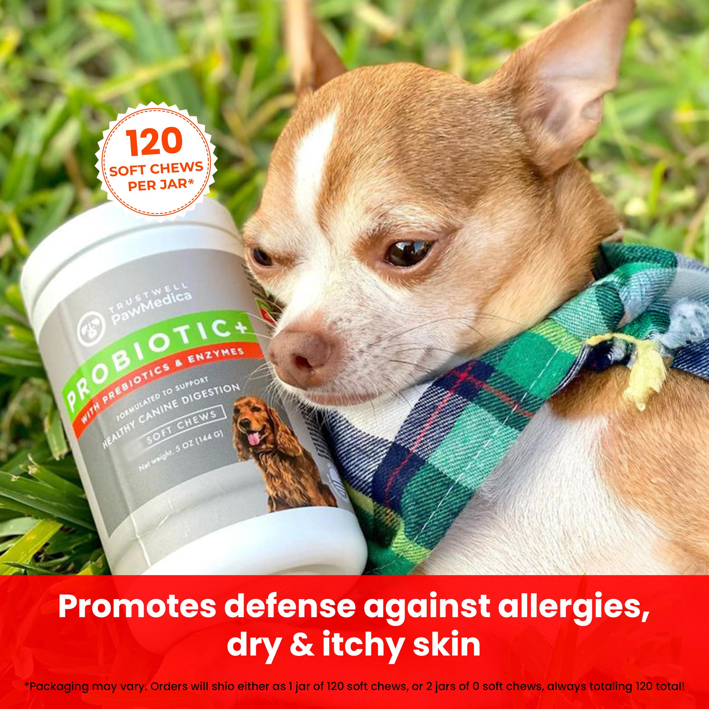 PawMedica probiotic bag front emphasizes USA-made NASC quality