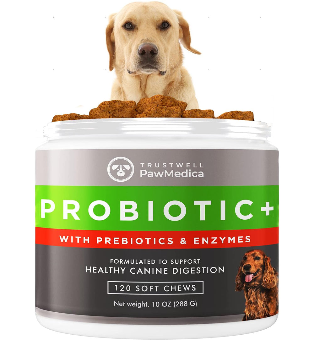 PawMedica dog probiotic bottle shows daily digestive support