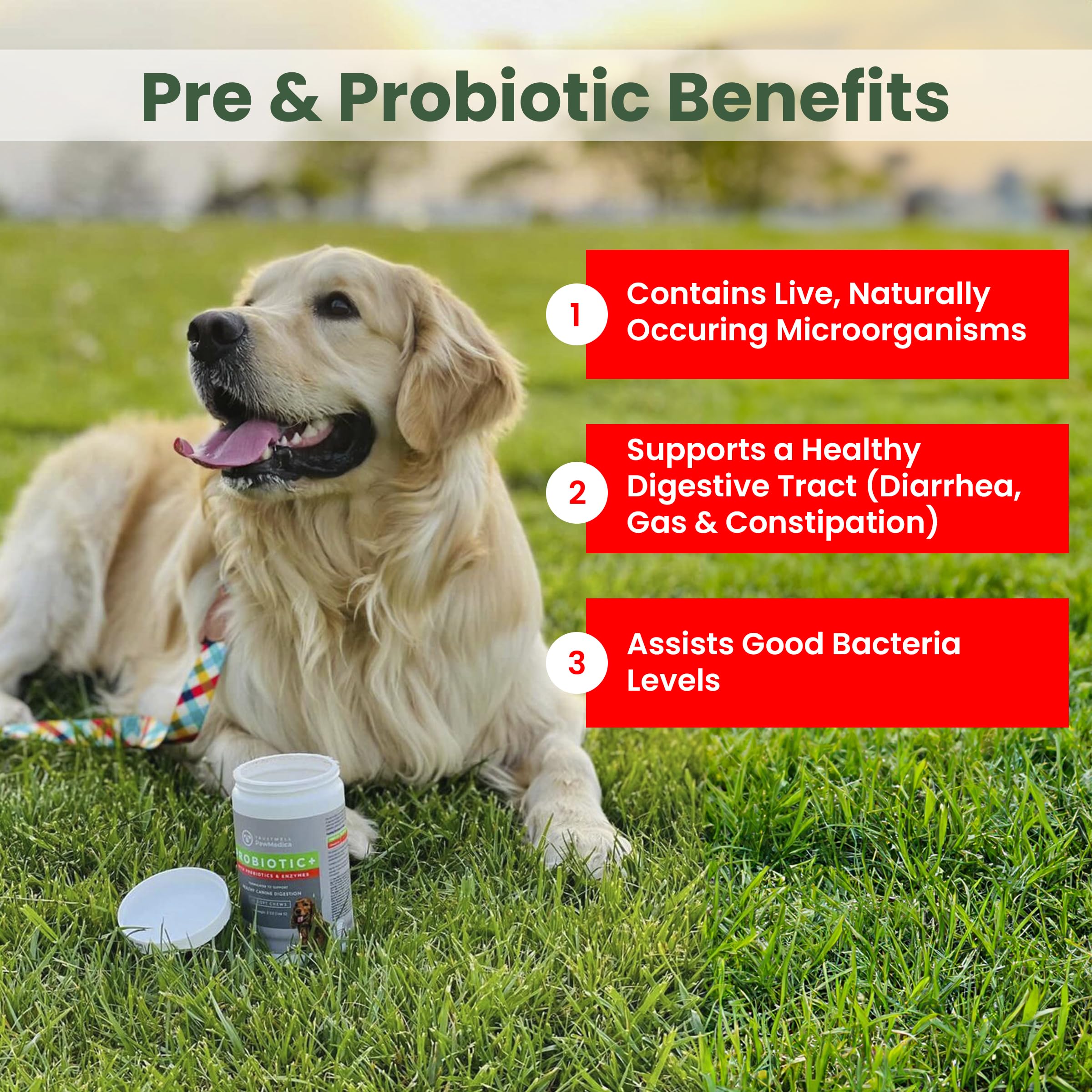 PawMedica probiotic chews closeup highlighting tasty texture for daily use