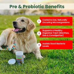 PawMedica probiotic chews closeup highlighting tasty texture for daily use