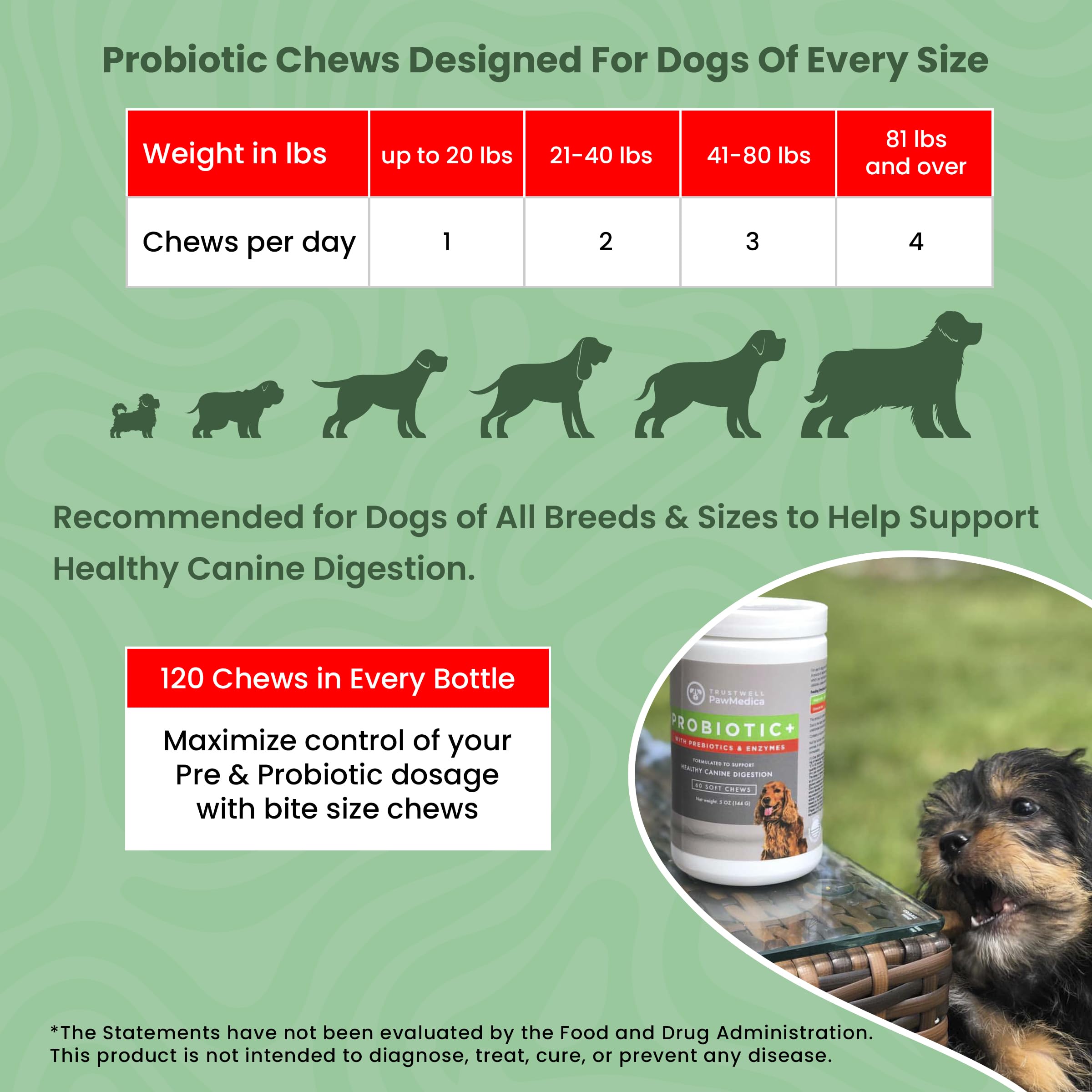PawMedica dog eating chew demonstrates palatable daily support