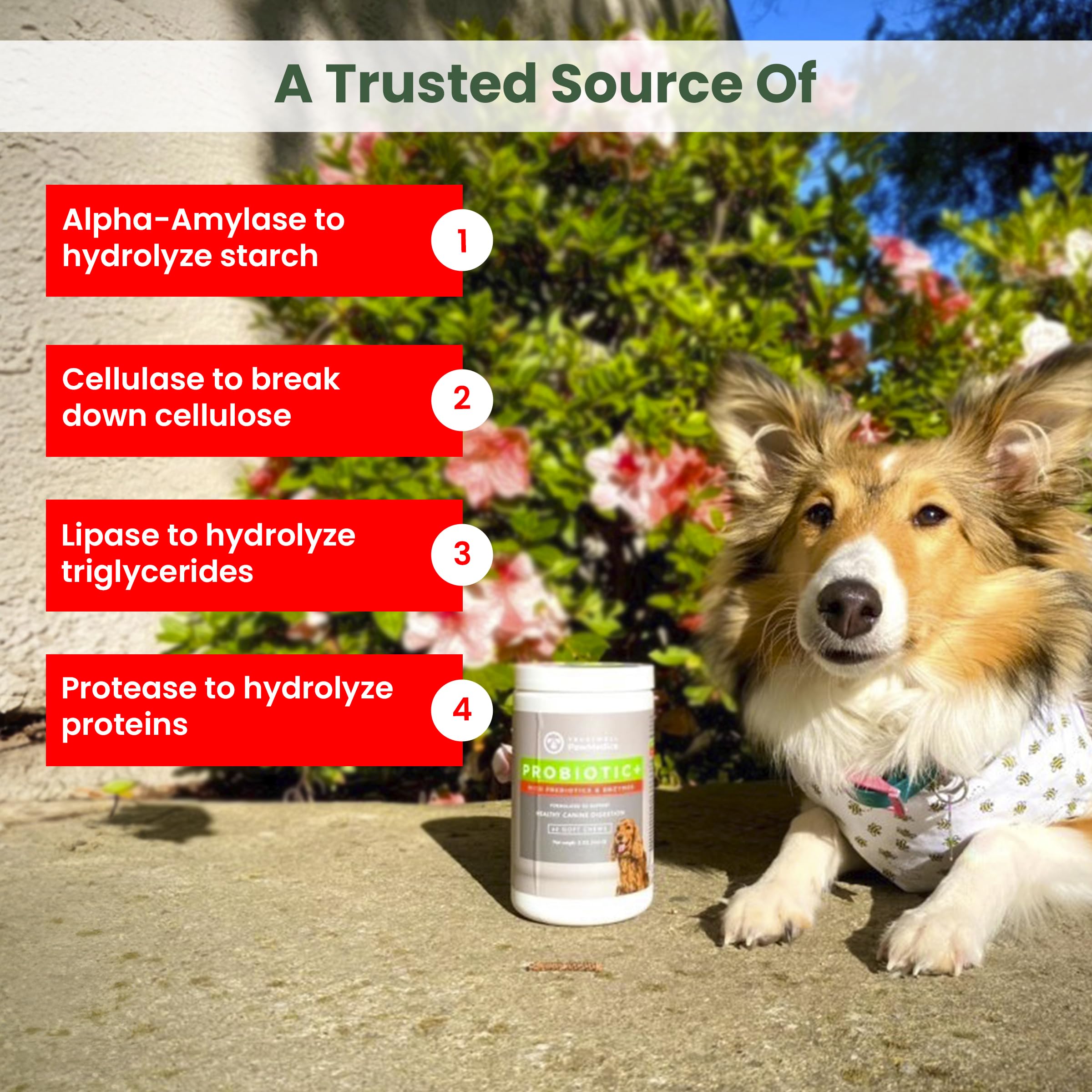 PawMedica ingredients panel shows prebiotics and probiotics for gut health