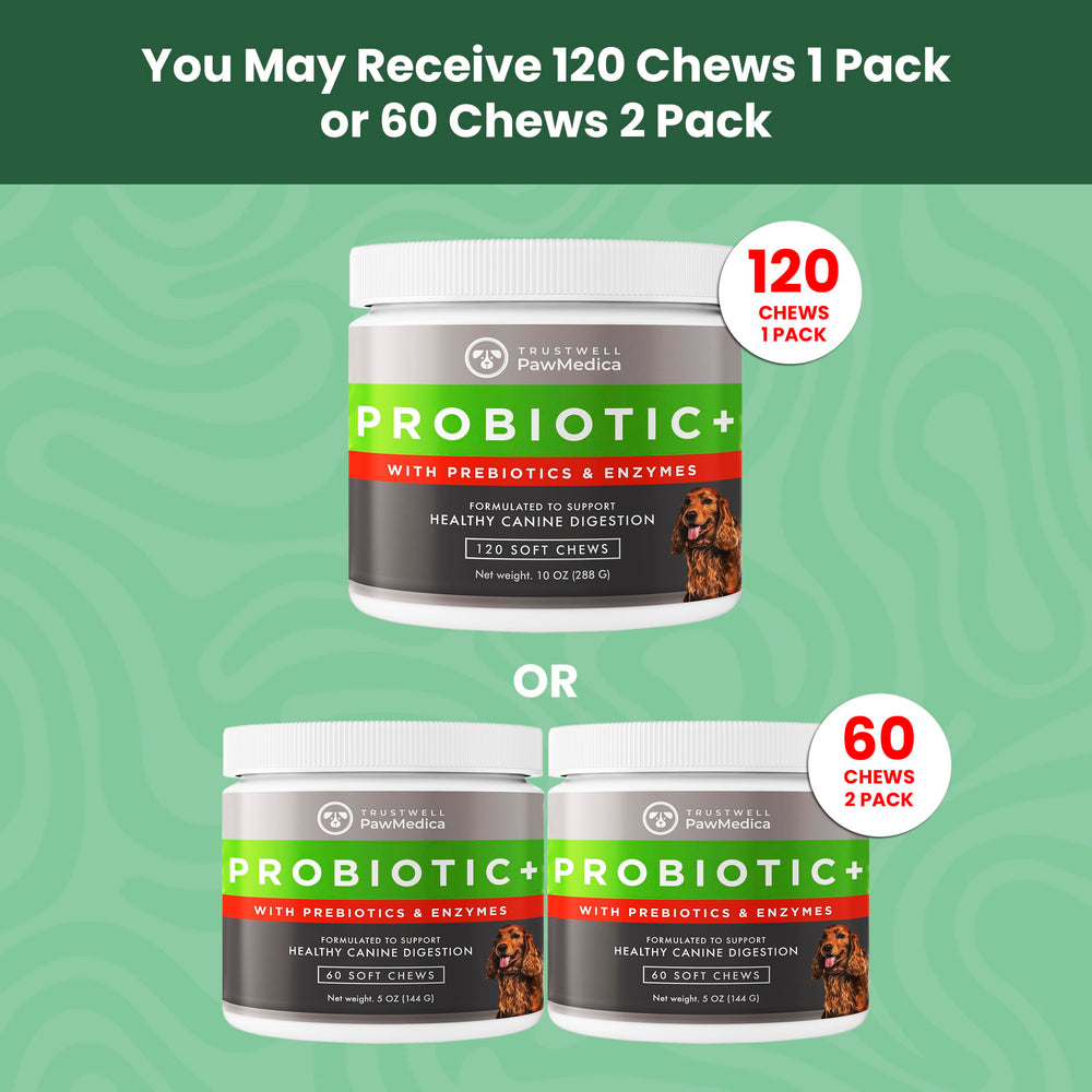 PawMedica chew can support smoother stools for easier cleanup