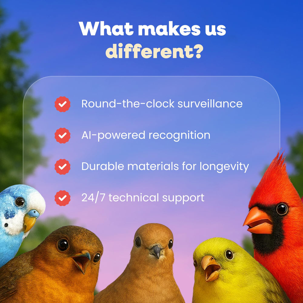 Pawmendous bird feeder camera backyard setup supports family-friendly wildlife observation.