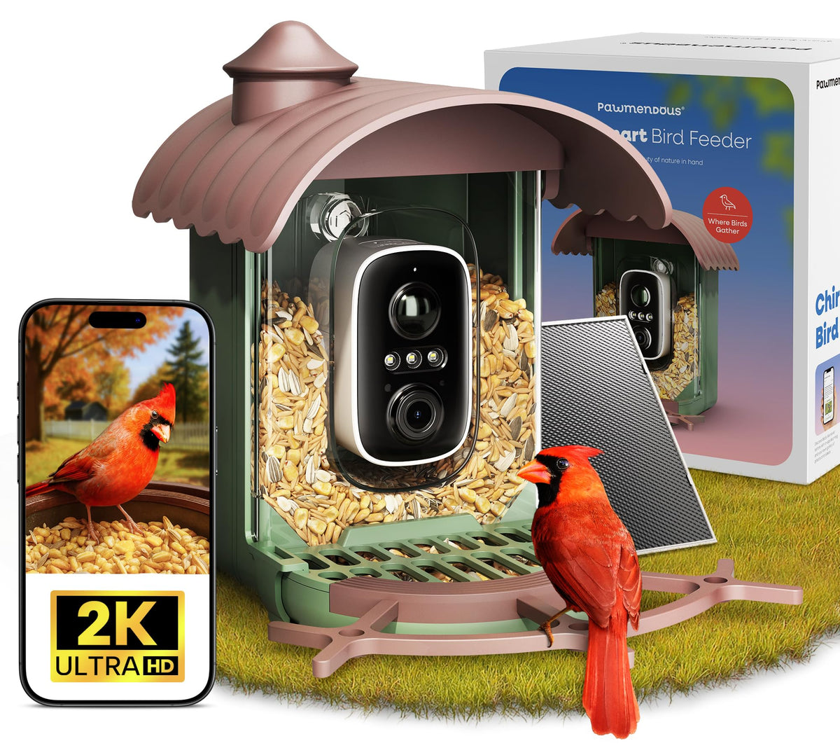 Pawmendous bird feeder camera front view for instant AI bird ID at a glance.