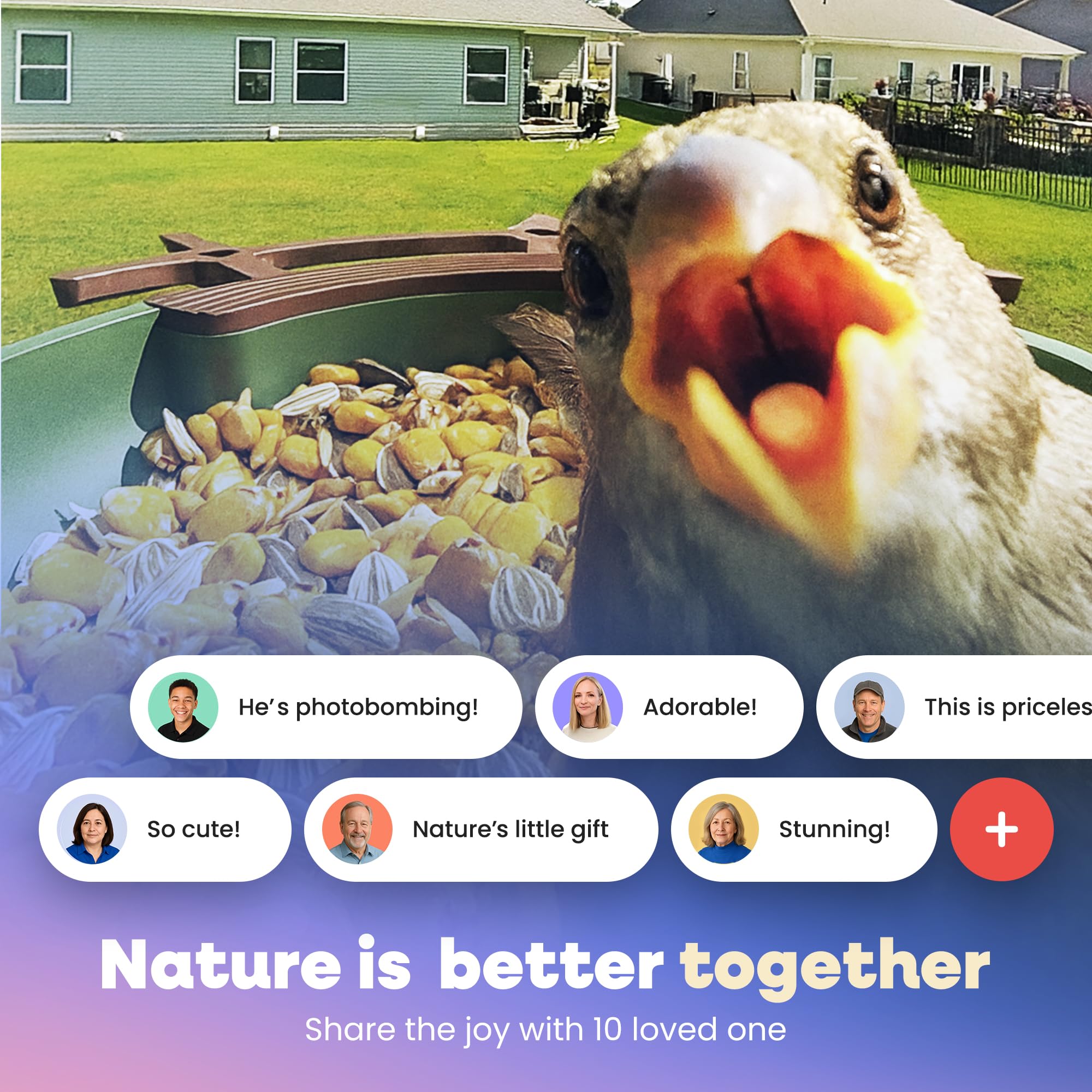Pawmendous bird feeder camera IP65 weatherproof design resists rain and sun during seasons.