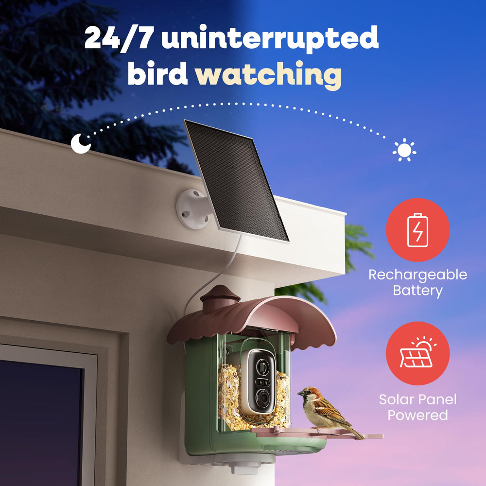 Pawmendous bird feeder camera solar-powered option supports ongoing outdoor use in daylight.