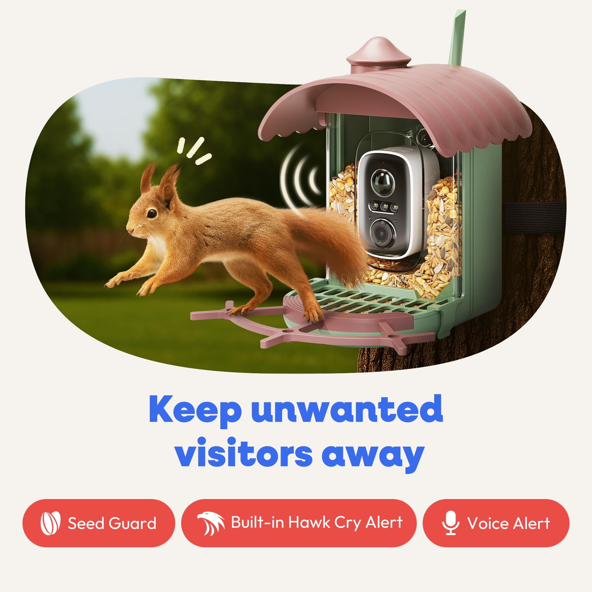 Pawmendous bird feeder camera wired charging keeps power available even on cloudier days.