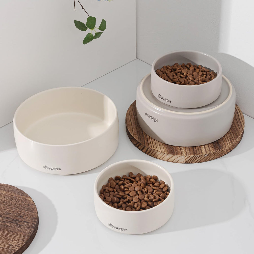 PawMeow ceramic bowl close-up indicates durable glaze that cleans easily.