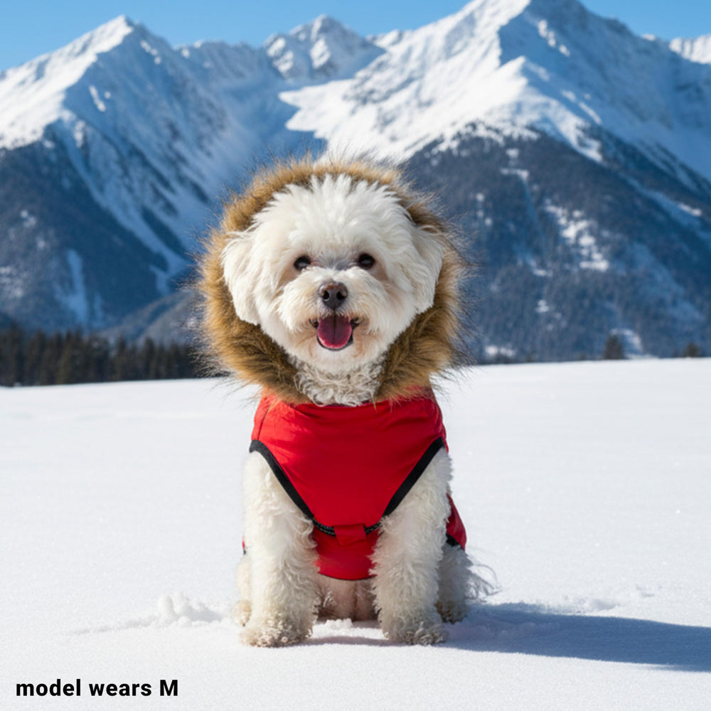 PAWNISAW built-in harness simplifies winter strolls with safety and warmth in one.