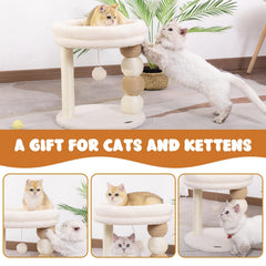 PawPalace small cat tree cozy top perch invites lounging comfort.