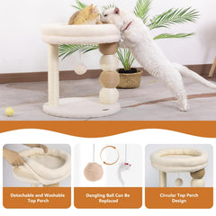PawPalace small cat tree natural sisal posts for scratching.