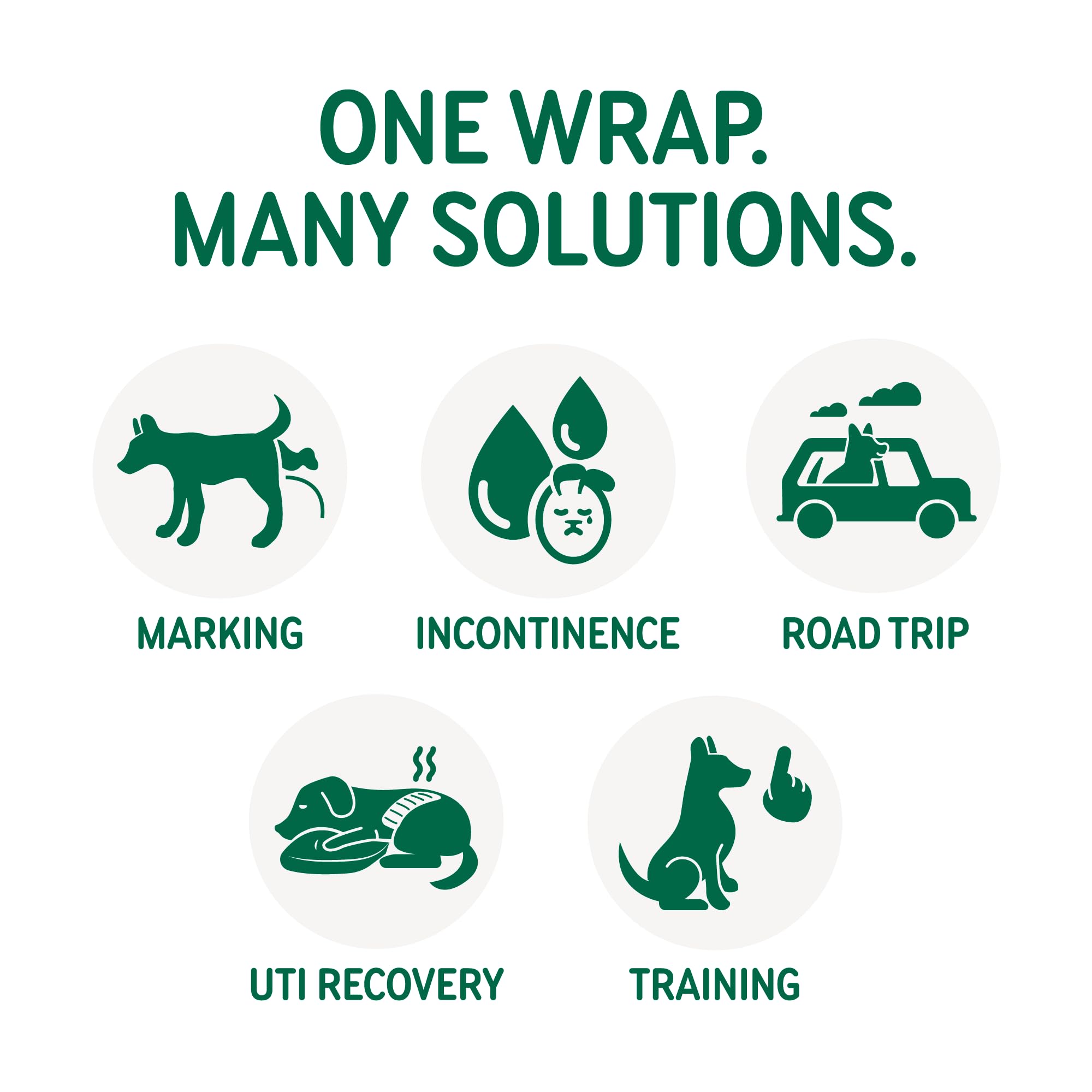 PAWPANG Copper Fit Mate senior-dog use-case supports travel and recovery scenarios