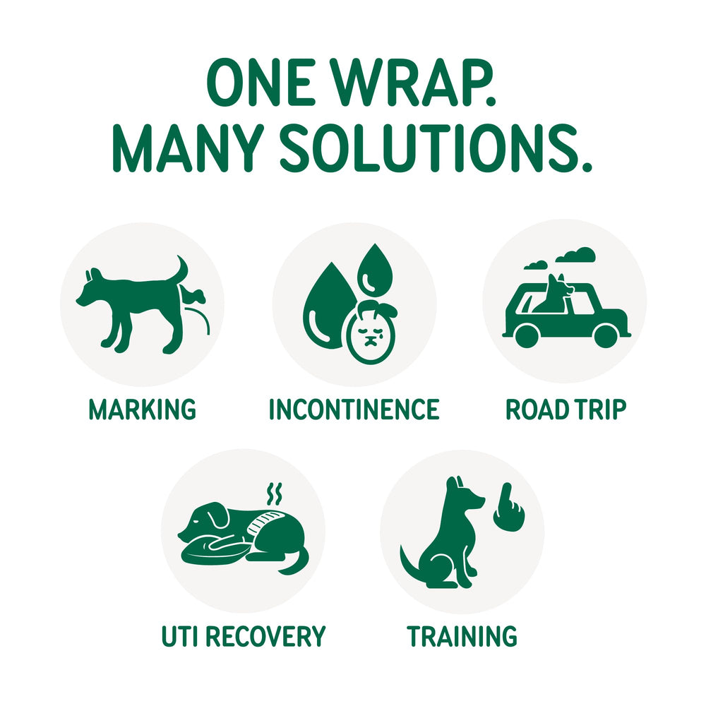 PAWPANG Copper Fit Mate senior-dog use-case supports travel and recovery scenarios
