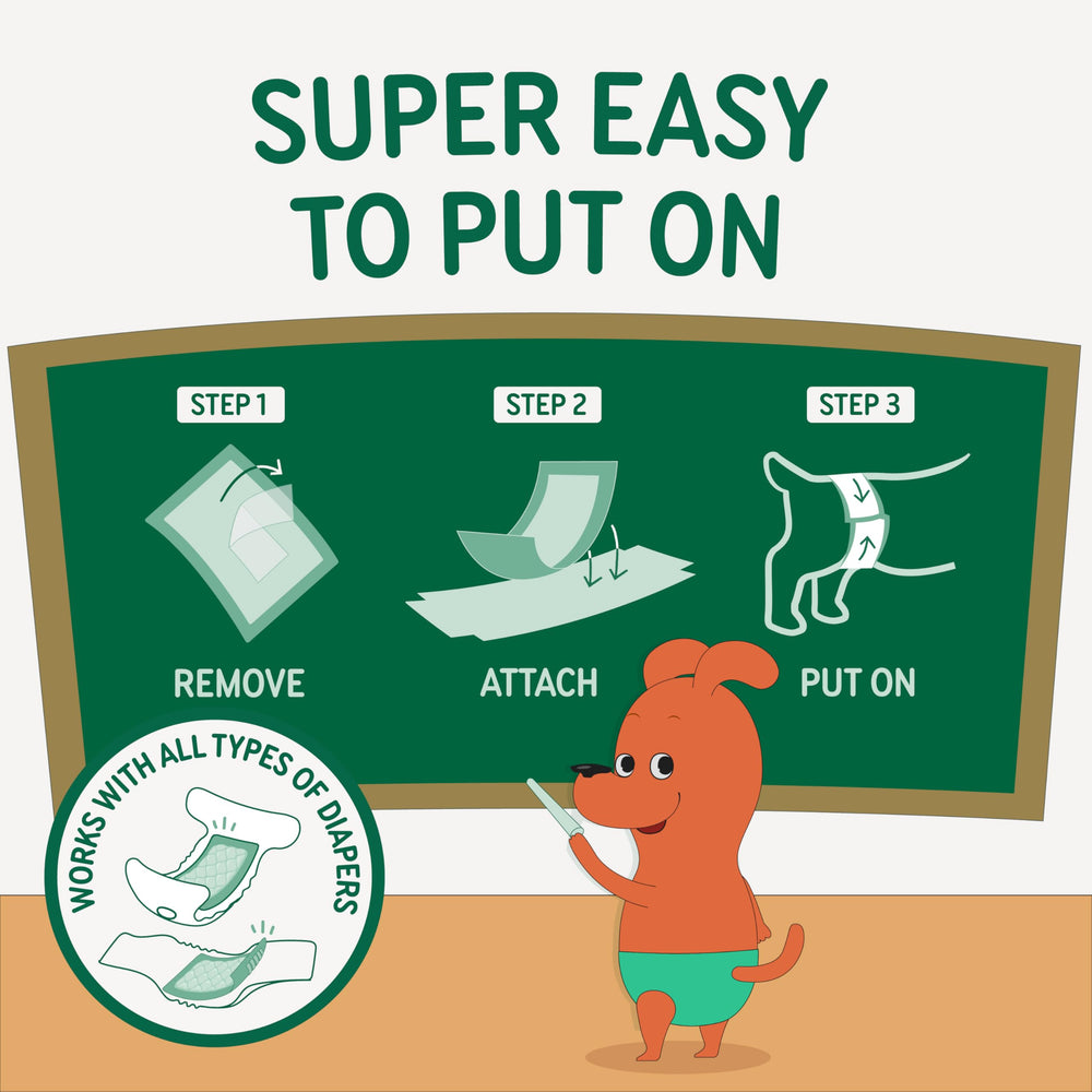 PAWPANG travel-use image suggests reliable protection during trips.