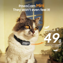 PAWPAWSEN app live view screen for remote filming