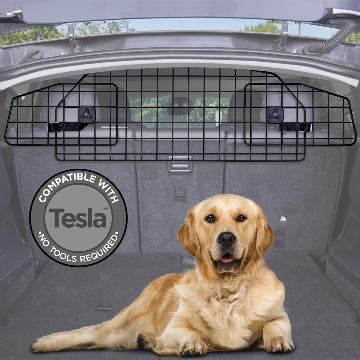 Pawple dog car barrier on Tesla Model Y front view for safe travel