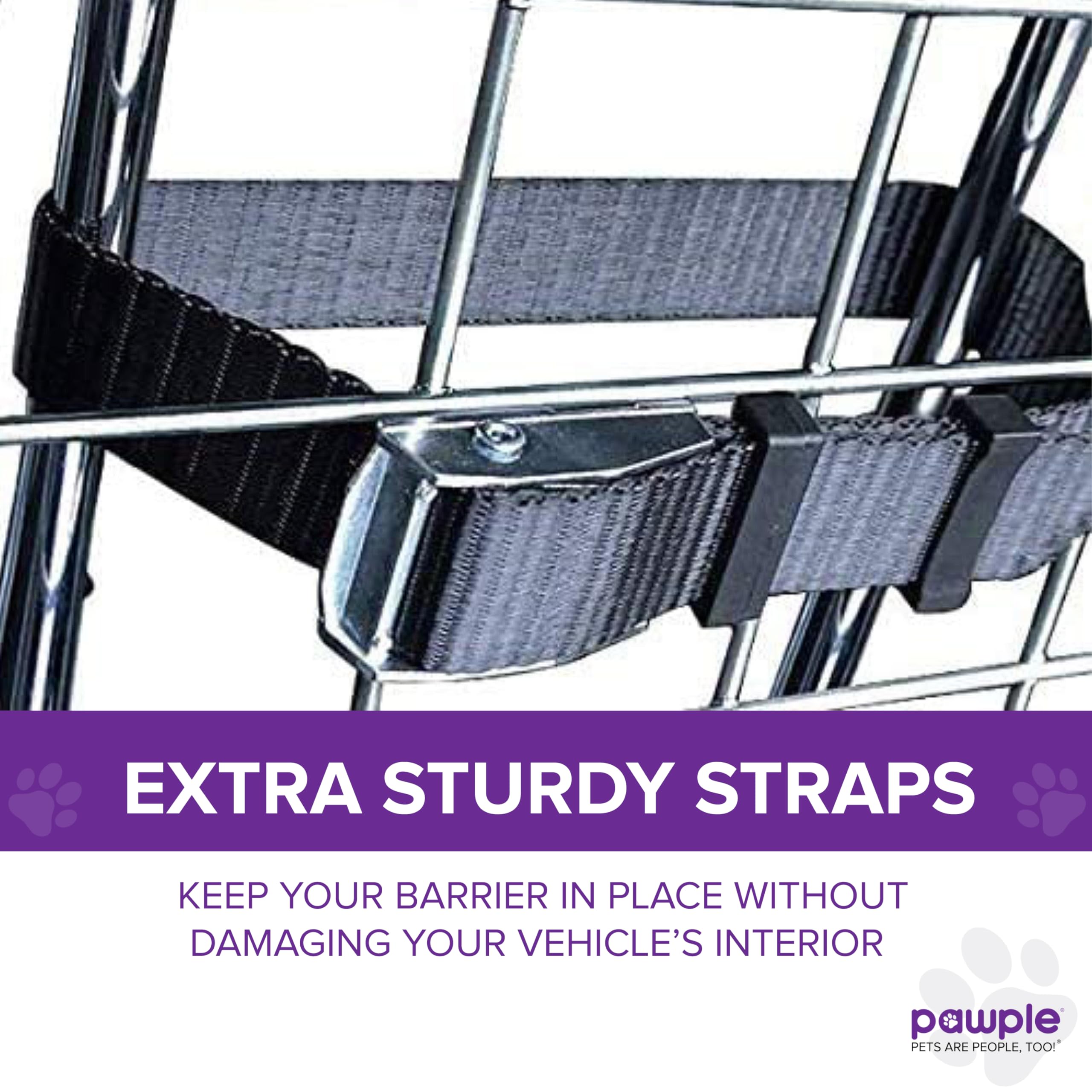 Pawple barrier demonstrates ventilation and visibility for pets during rides