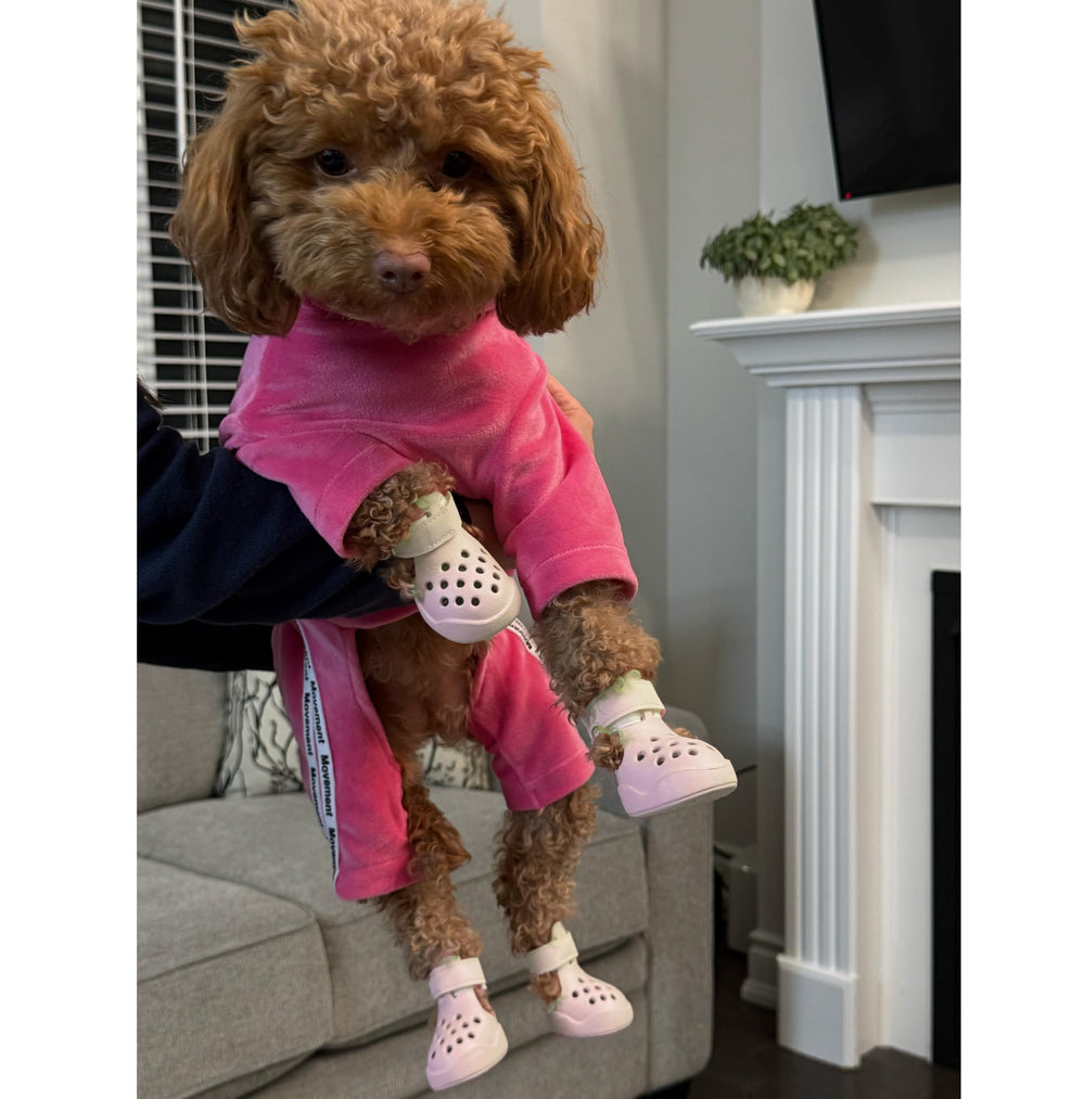 PawPosh available in small, medium, and large sizes for many breeds.