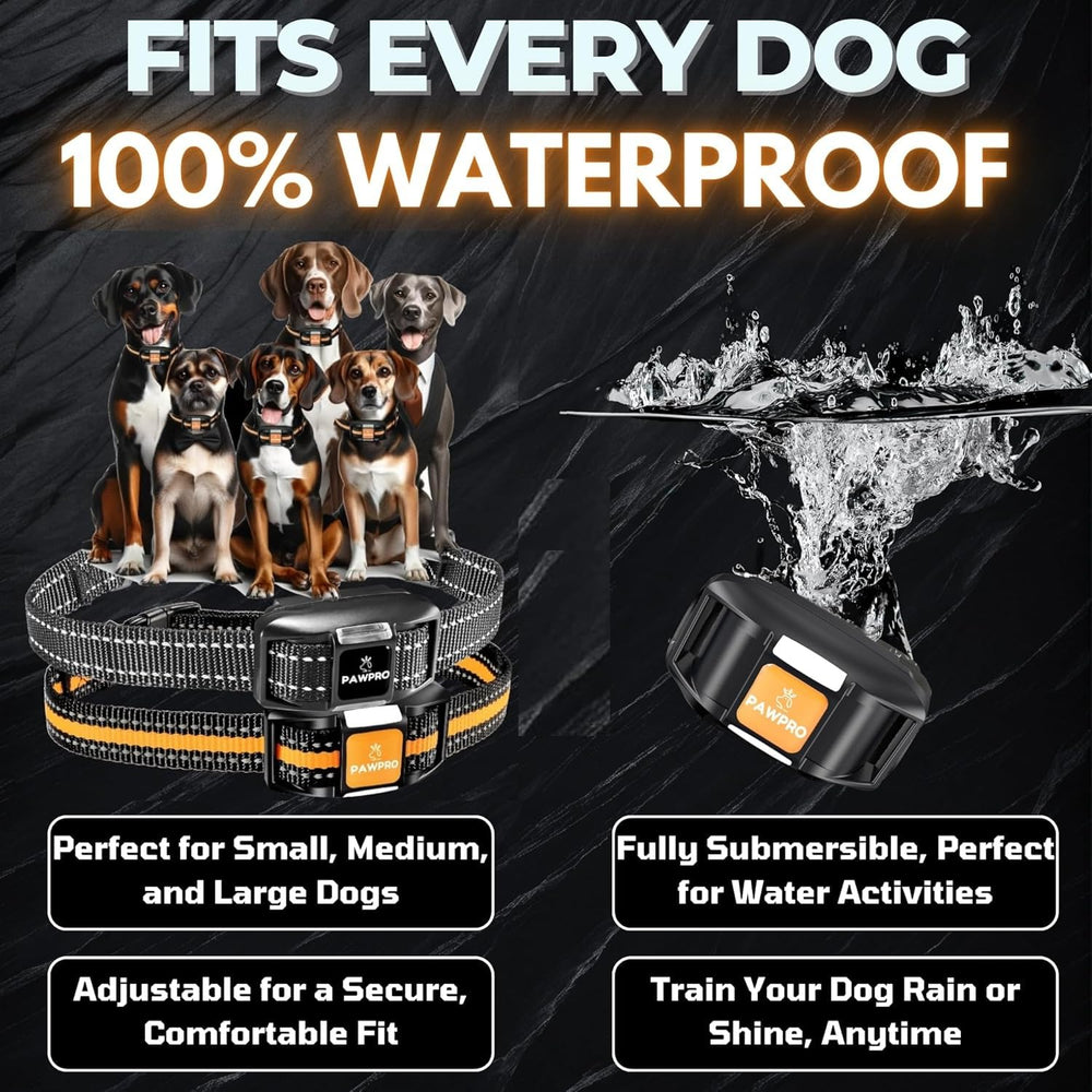 PAWPRO 124-level settings enable precise, tailored feedback.