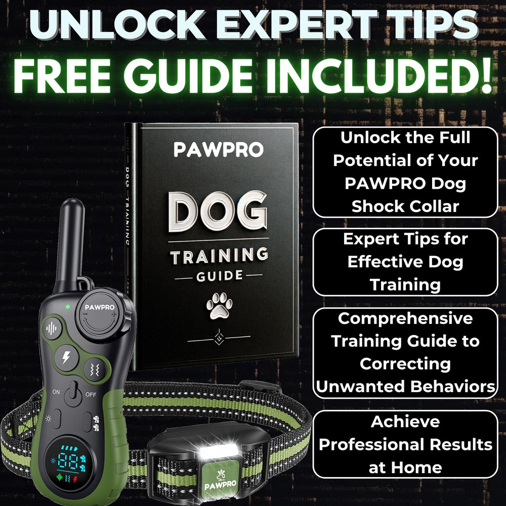 PAWPRO 124 levels provide precise feedback for tailored training