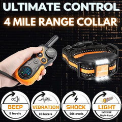 PAWPRO dual-channel remote enables training two dogs simultaneously.