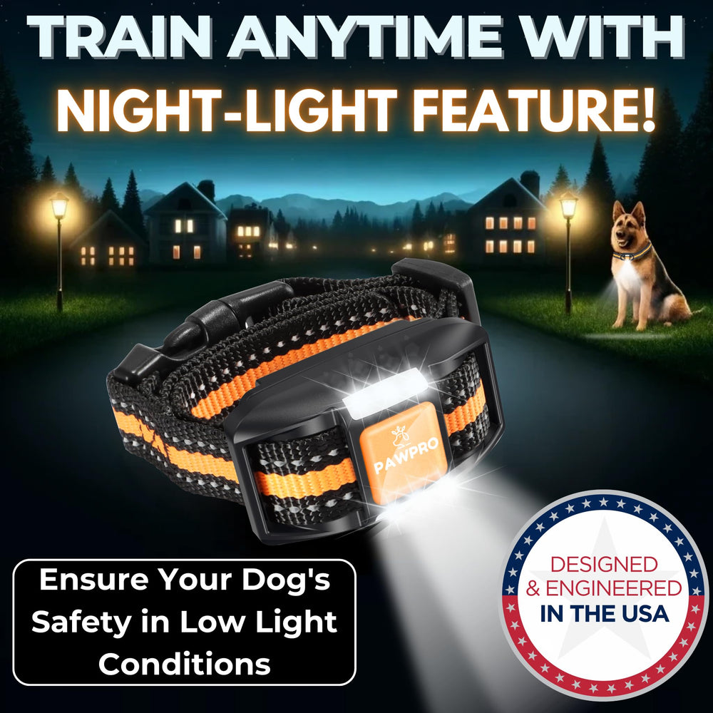 PAWPRO IPX7 waterproof collar withstands rain and mud during rugged hikes