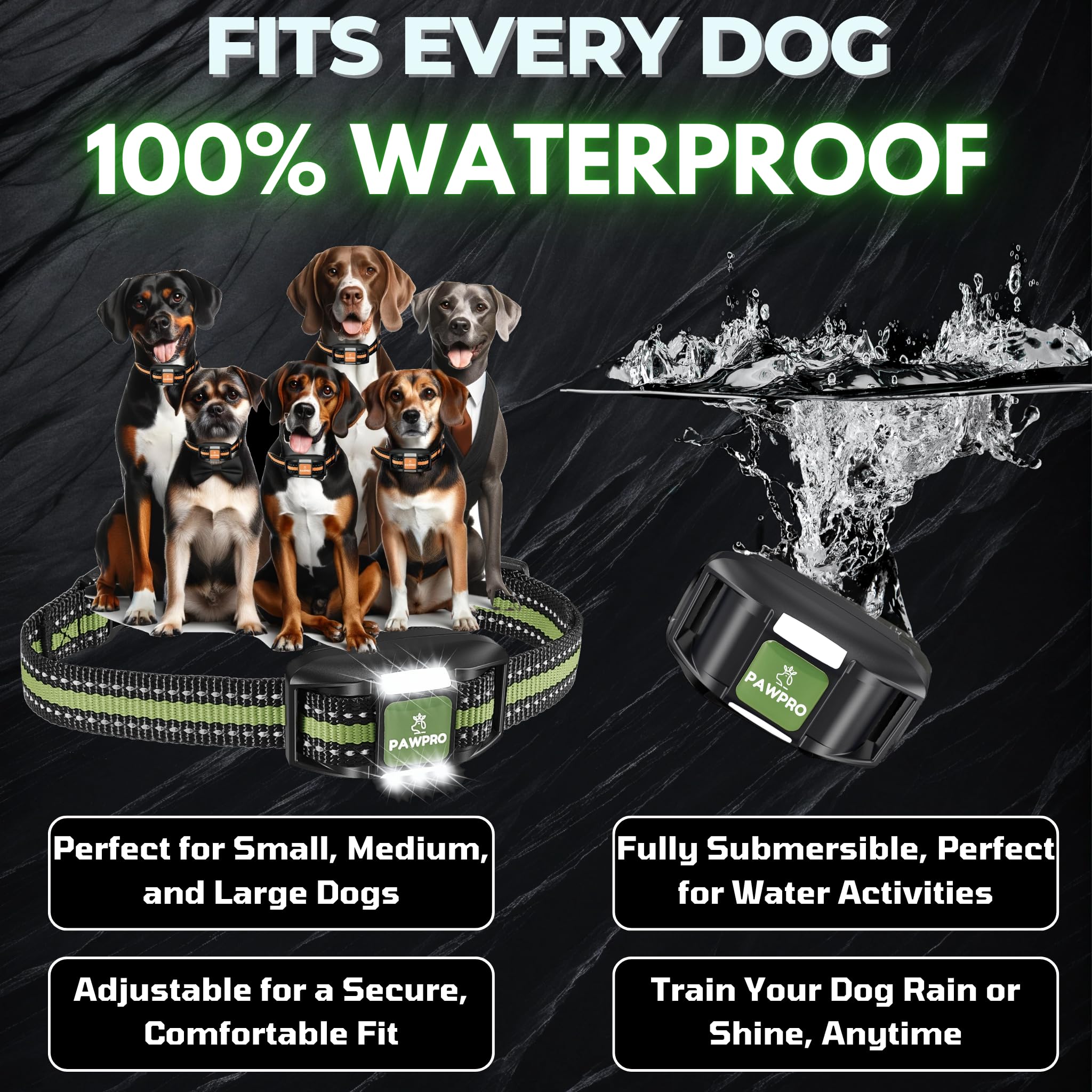 PAWPRO waterproof and rechargeable collar withstands wet workouts