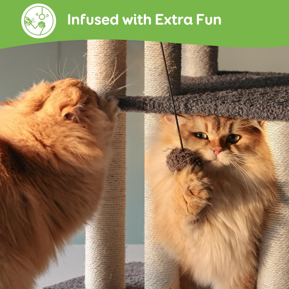 Pawque three combination options for flexible placement