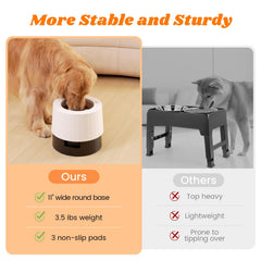 Pawque elevated 60oz anti-slip base prevents tipping during meals.