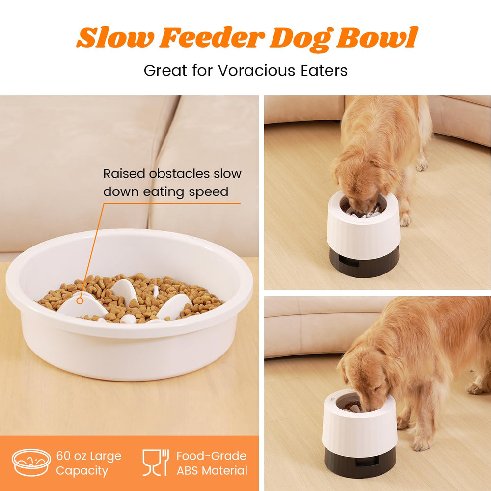 Pawque elevated 60oz height settings enable comfortable feeding for medium to large dogs.