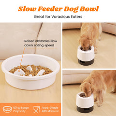 Pawque elevated 60oz height settings enable comfortable feeding for medium to large dogs.