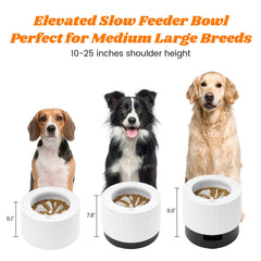 Pawque elevated 60oz slow feeder inner bowl with obstacles slows fast eaters for healthier pacing.