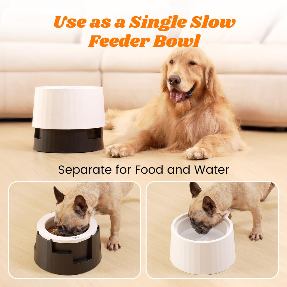 Pawque elevated 60oz water-bowl option supports clean, separate hydration.