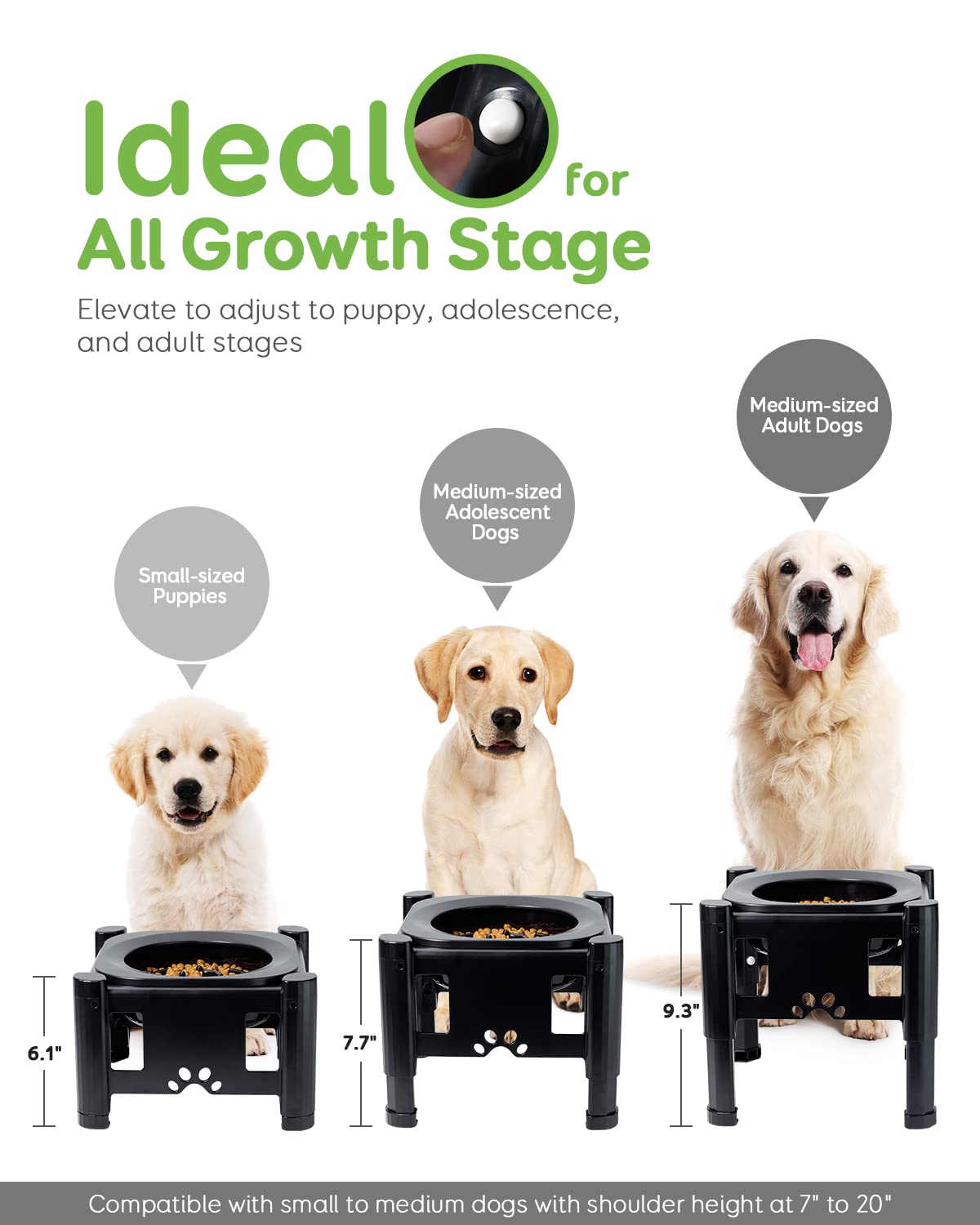 Pawque Elevated Slow Feeder Bowls height adjustment highlights easy posture changes for pets.