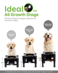 Pawque Elevated Slow Feeder Bowls height adjustment highlights easy posture changes for pets.